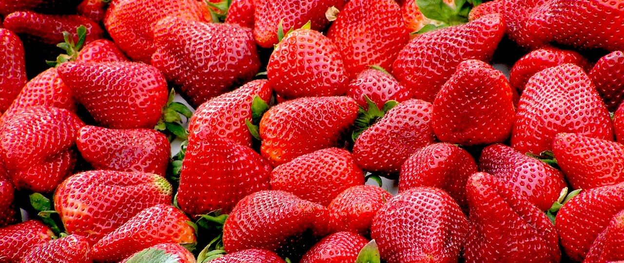 Tvätta jordgubbar ordentligt: ​​vad man ska se upp med med känsliga frukter